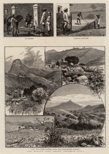 O Wynaad Gold Fields, sul da Índia de William Henry James Boot