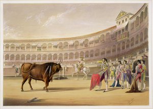 O Matador, 1865 de William Henry Lake Price