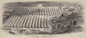 O Implemento e os Shows de Gado da Royal Agricultural Society of England, na Reunião Anual realizada em Northampton, 20, 21, 22 de julho de 1847