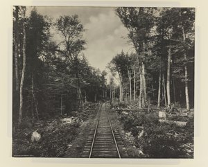 Ganoga Lake Branch, LVRR, c.1899 (impressão em platina)