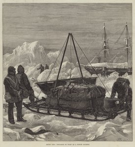 Vida ártica, preparando-se para começar uma jornada de trenó