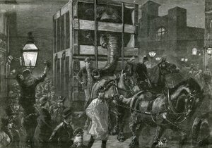 Jumbo&39;s Journey to the Docks
