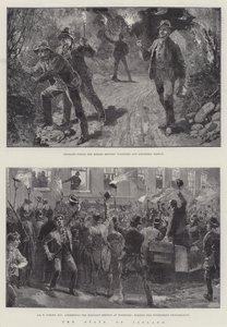O estado da Irlanda