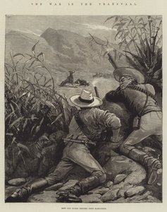 A guerra no Transvaal