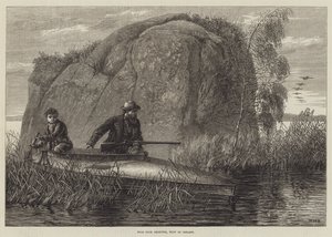 Tiro de pato selvagem, gravura do oeste da Irlanda
