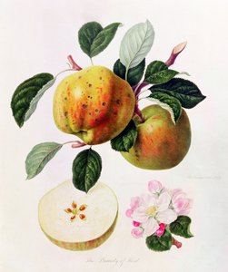 A beleza de Kent, 1819