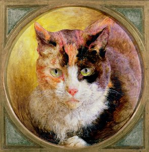 Um estudo da cabeça de um gato de tartaruga, 1866