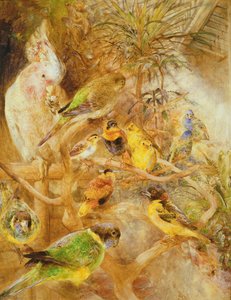 Bird Aviary, 1871