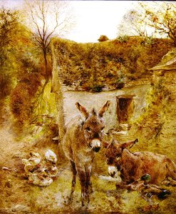 Burros e Patos no Quintal da Fazenda