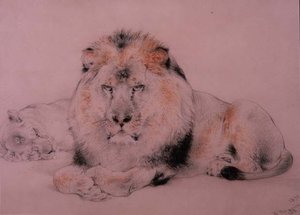 Leão e Lioness de William Huggins
