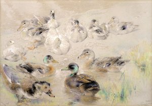 Estudo de Patos de William Huggins