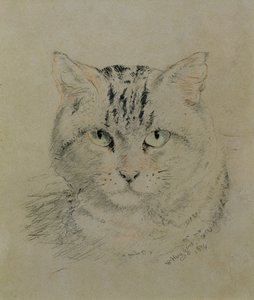 Gato malhado, 1874 (lápis, giz de cera e carvão sobre papel)