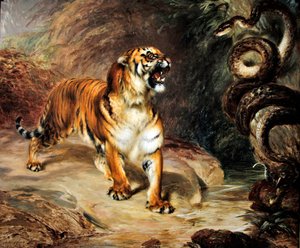 Tigre e pitão de William Huggins
