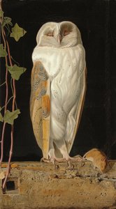 A coruja branca: "Sozinho e esquentando os cinco sentidos, fica a coruja branca no campanário", 1856 de William J. Webbe
