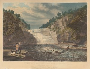 Vista das High Falls of Trenton: West Canada Creek, N.Y. de William James Bennett