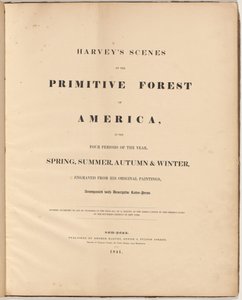 Cenas de Harvey da Floresta Primitiva de William James Bennett, after George Harvey