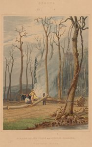 Primavera - Queimando árvores caídas em uma clareira cingida. Cena ocidental de William James Bennett after George Harvey