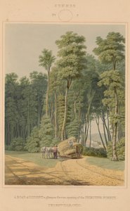 Verão - um acidente de viação. Um vislumbre de uma abertura da Floresta Primitiva. Thornville, Ohio de William James Bennett after George Harvey