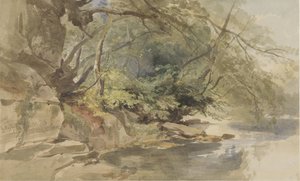 Rosto em Stapleton Wood, perto de Bristol