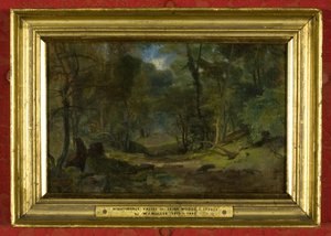 Nightingale Valley, c.1831 (óleo sobre tela) de William James Muller