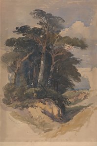 Pinheiros em Hampstead Heath de William James Muller
