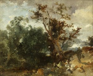 Estudo de Árvores, c.1840 (óleo sobre cobre) de William James Muller