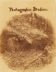 Sem título, da coleção A Floresta: Bosques de Adirondack de William James Stillman