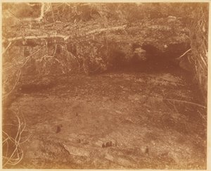 Sem título, da coleção A Floresta: Bosques de Adirondack de William James Stillman