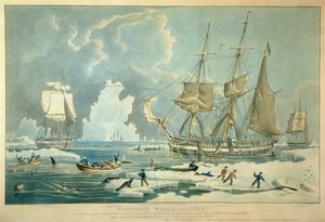 Northern Whale Fishery, gravura de E. Duncan de William John (after) Huggins