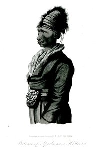 Retrato de Speelman, um hotentote, 1814 de William John Burchell