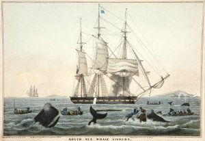 Pesca da baleia do mar sul, bar. 1825 (cor ithograph)