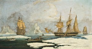The Northern Whale Fishery: O navio Harmony of Hull e outros baleeiros presos ao gelo, caça focas, narvais e baleias no estreito de Davis, área baleeira na Groenlândia