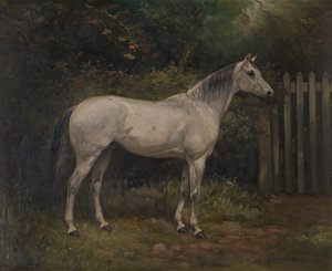 Pickles: um pónei Basuto, c.1904 (óleo sobre tela) de William Josiah Redworth