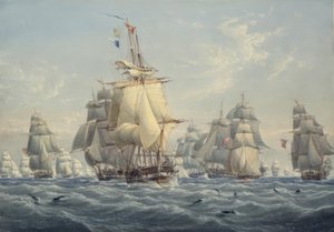 Um esquadrão britânico em plena vela com botos