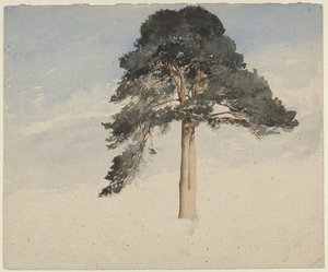 pinheiro escocês de William Leighton Leitch