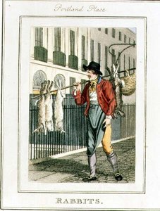 Rabbits, Portland Place, de 