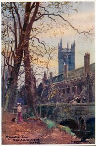Magdalen Tower from Addison&39;s Walk de William Matthison