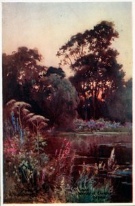 Worcester College Garden de William Matthison