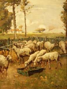 O Dobra de Ovelhas de William McBride