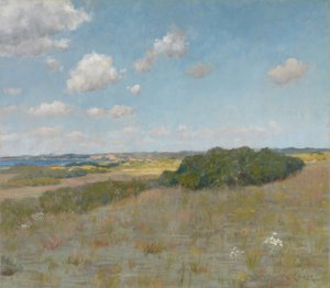 Luz Solar e Sombra, Shinnecock Hills de William Merritt Chase