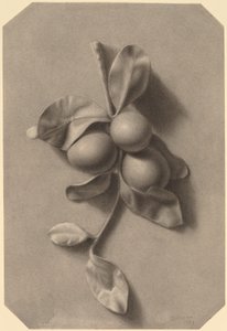 Um raminho de ameixas de William Michael Harnett