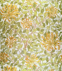 Design &39;madressilva&39;, 1883 de William Morris