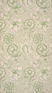 Rosa e Papoula. Papel de parede, 1881. de William Morris