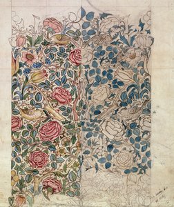 Design de papel de parede &39;Rose&39;
