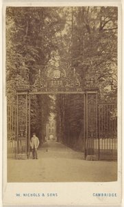 Trinity Cole Avenue de William Nichols and Sons