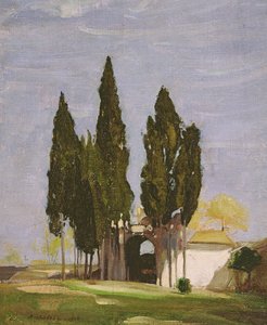 Ciprestes, Monte Palatino, Roma