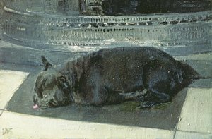 Napoleão de William Nicholson