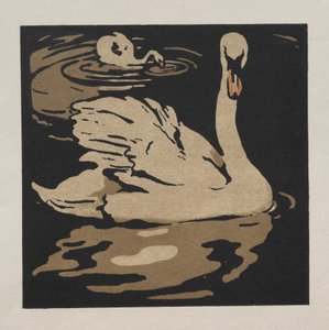 O Livro Quadrado dos Animais: O Belo Cisne de William Nicholson