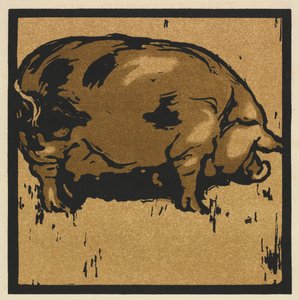 O Livro Quadrado dos Animais: O Porco Erudito de William Nicholson