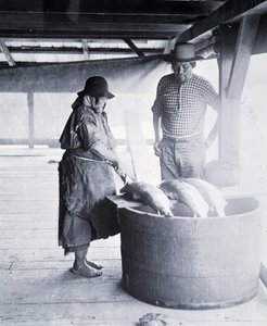 Indian Salmon Cleaner, perto de New Westminster, British Columbia (Província do Canadá)